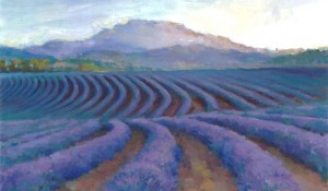 Lavender Vista